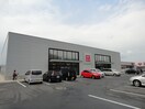 ユニクロ松山谷町店（衣料品）まで793ｍ サン・コートM