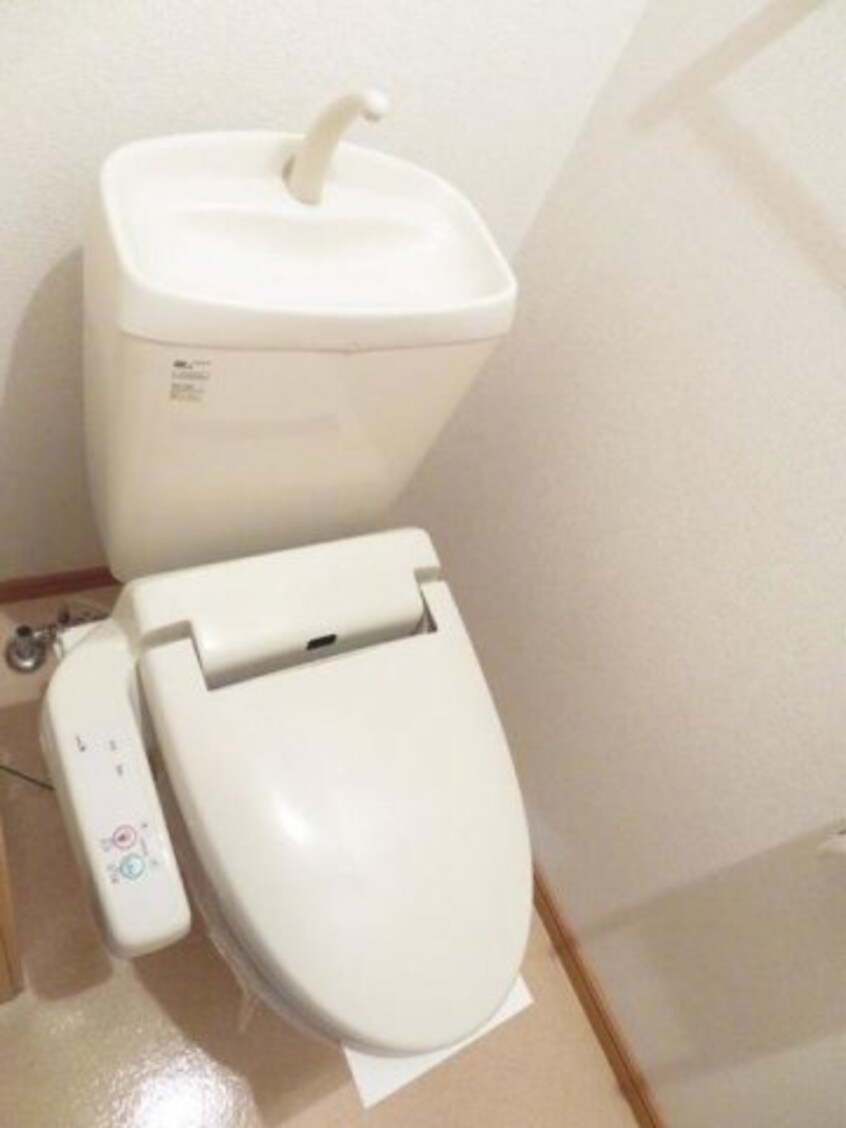 落ち着いたトイレです アンジュベリーＢ