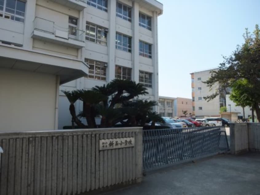 松山市立新玉小学校(小学校)まで560m フォブール一色Ⅲ