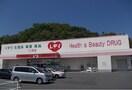 くすりのレデイ三津店様まで500m プリムローズ・Ｍ