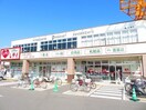 くすりのレデイ姫原店様まで450m プラシードカーサⅡ
