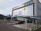 伊予銀行味生支店様まで1900m メゾンⅠ