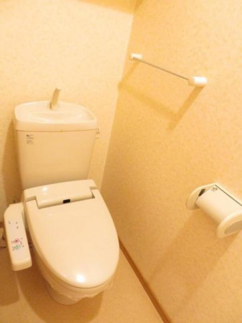 落ち着いた色調のトイレです プリムロ－ズⅡ　Ａ