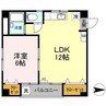 メゾン山越 1LDKの間取り