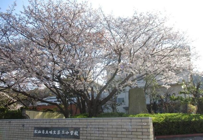 松山市立味生第二小学校(小学校)まで1939m セジュール関谷
