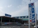 コーナン三津浜店様まで1800m アルフィーノはるＤ