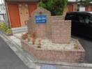  サリーレ・ピーノ南吉田