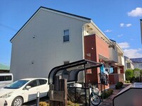 グレーステンダー