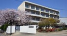 松山市立清水小学校(小学校)まで709m シャンティ平和通