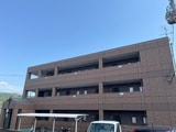 サンシャイン柳