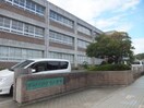 松山市立みどり小学校(小学校)まで918m グリーンハイム　A棟・