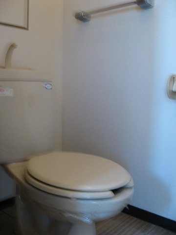 落ち着いた色調のトイレです パルシャス野本　Ⅰ
