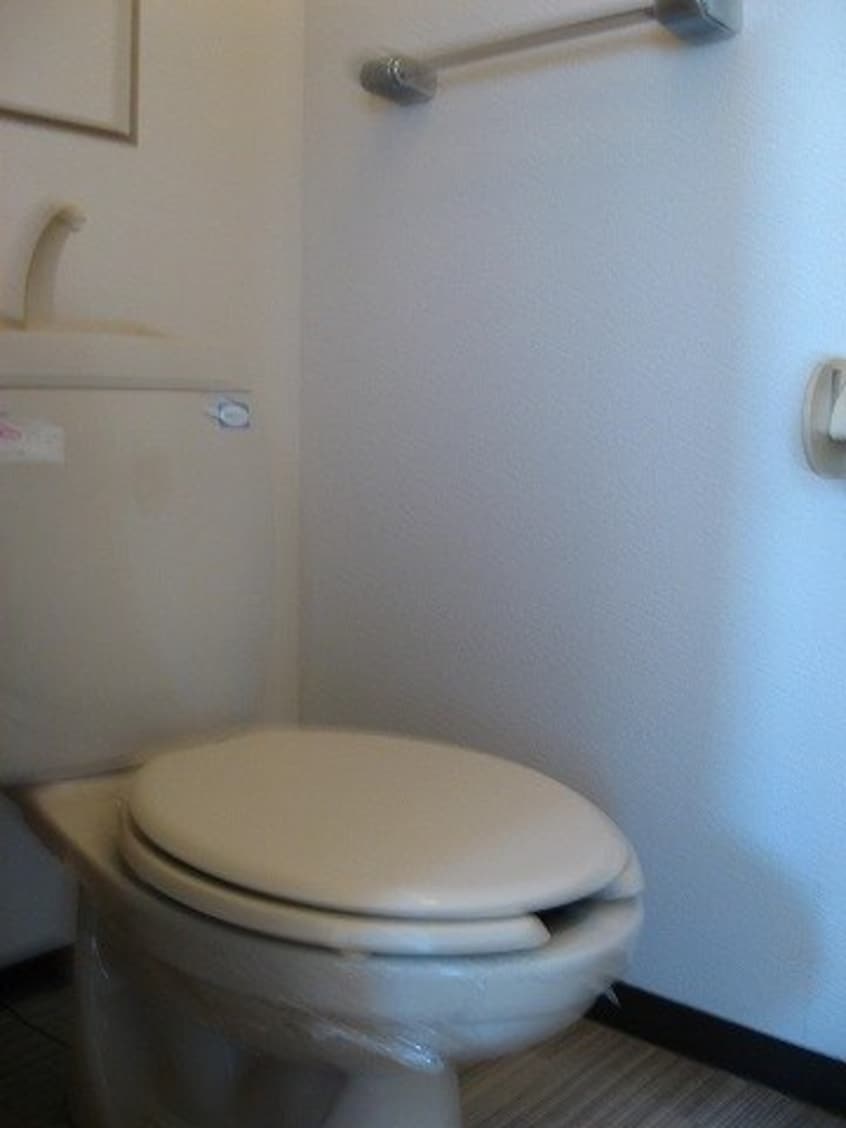 落ち着いた色調のトイレです パルシャス野本　Ⅰ