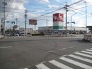 スギ薬局碧南城山店(ドラッグストア)まで1262m 名鉄三河線/碧南中央駅 徒歩14分 1階 築26年