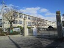 高浜市立高浜小学校(小学校)まで1238m ドリームタウン