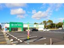 スギ薬局高浜店(ドラッグストア)まで761m サンリット高取