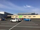 Felna六軒町店(スーパー)まで1007m エクレール
