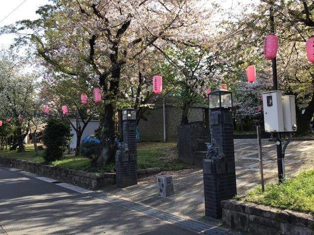 大山緑地(公園)まで693m クリサンセマム