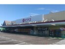 ピアゴ東刈谷店(スーパー)まで958m サンパティーク大脇