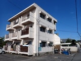 カーサ樹・