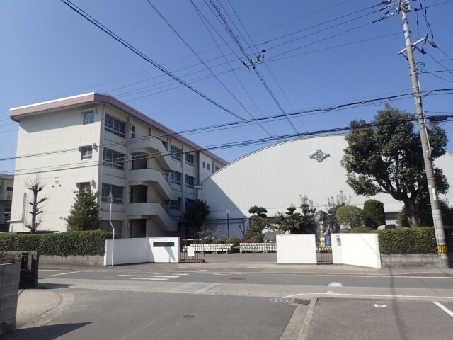 松山市立石井小学校(小学校)まで122m シャーメゾン東石井