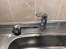 混合水洗 ソフィア