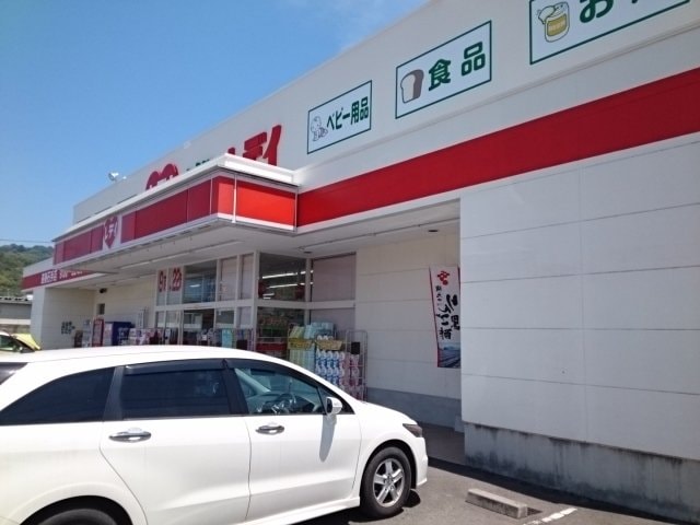レデイ薬局道後石手店様まで800m フルール　Ａ