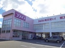 コスモス井門店様まで850m リヴァーパークⅡ　Ｃ