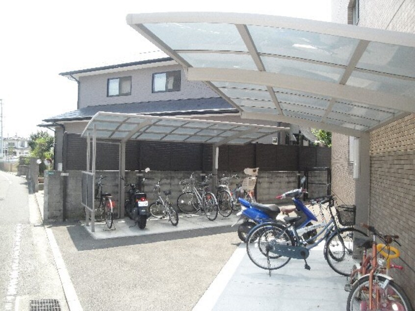  ブライム　シャノン・