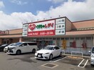 くすりのレデイ平井店様まで500m カーサ・フィオーレ　Ⅰ