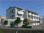 サーコート鷹子・