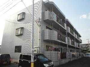 コモドハウス