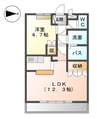 シェルハイツM 1LDKの間取り