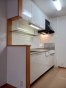 コンパクトなキッチンで掃除もラクラク ソレイユＫ枝松Ｂ