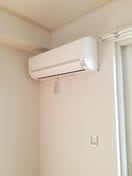  メアリー・ローズ　Ⅲ