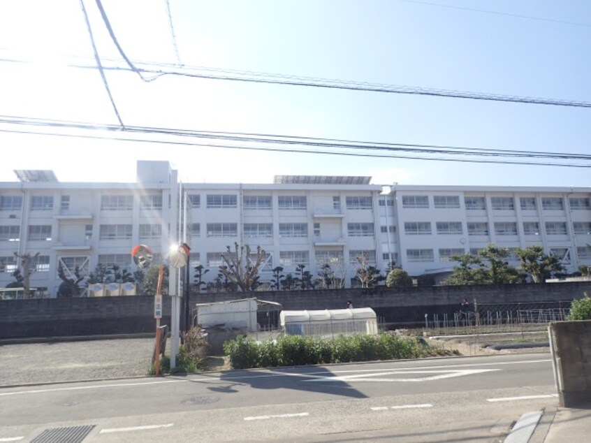 松山市立石井東小学校(小学校)まで953m エスポワール３４　Ｅ棟