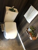  アランチアＭＫ