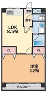 セントラルハイム弐番館・ 1LDKの間取り