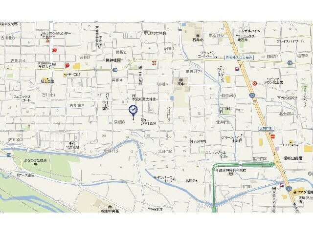  ユーミーつばき