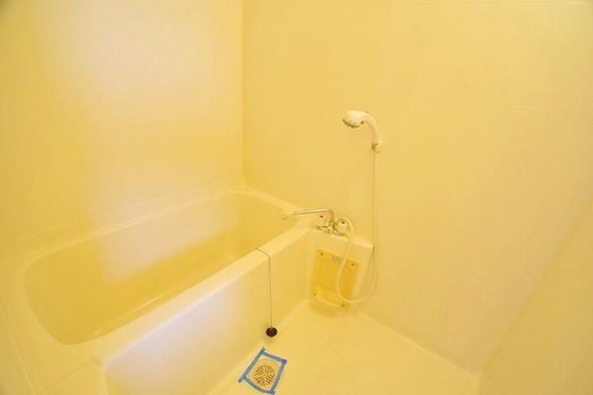  ユーミーつばき