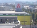 ヤマダ電機テックランド松山本店まで880ｍ カメリア北土居　Ｂ