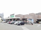 フジ立花店様まで900m プリムローズ小坂