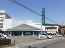 伊予銀行桑原支店様まで600m ミニヨンフルールＡ