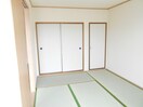  ホワイトビューラー