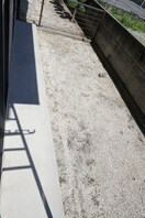  ハイカムールハピネスＢ棟