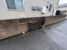  グレーシア