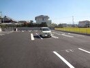  グレーシア