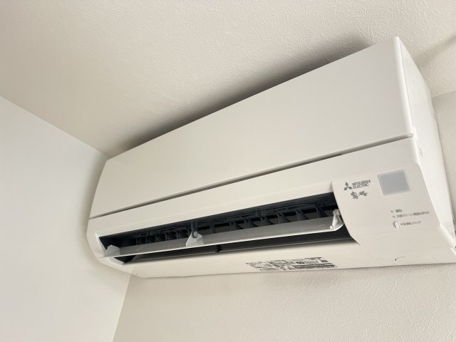  サンライト鷹子