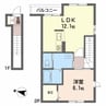 ラフィナス 1LDKの間取り