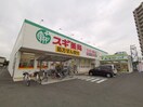 スギ薬局 堺白鷺店(ドラッグストア)まで637m 南海高野線/初芝駅 徒歩10分 1階 築16年